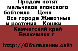 Продам котят мальчиков японского бобтейла. › Цена ­ 30 000 - Все города Животные и растения » Кошки   . Камчатский край,Вилючинск г.